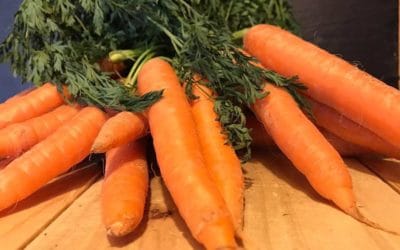 Die Moro´sche Karottensuppe